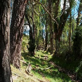 Aptos. Rurales Sierra De Gudar Teruel